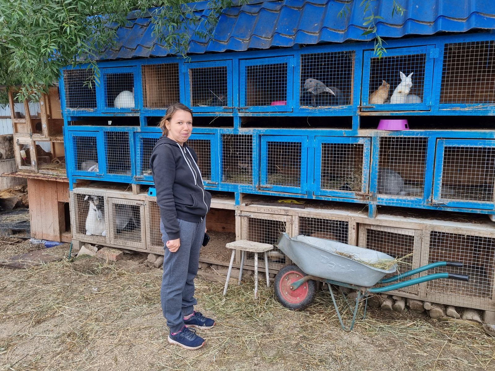 Новое золотодобывающее предприятие появится в Приамурье