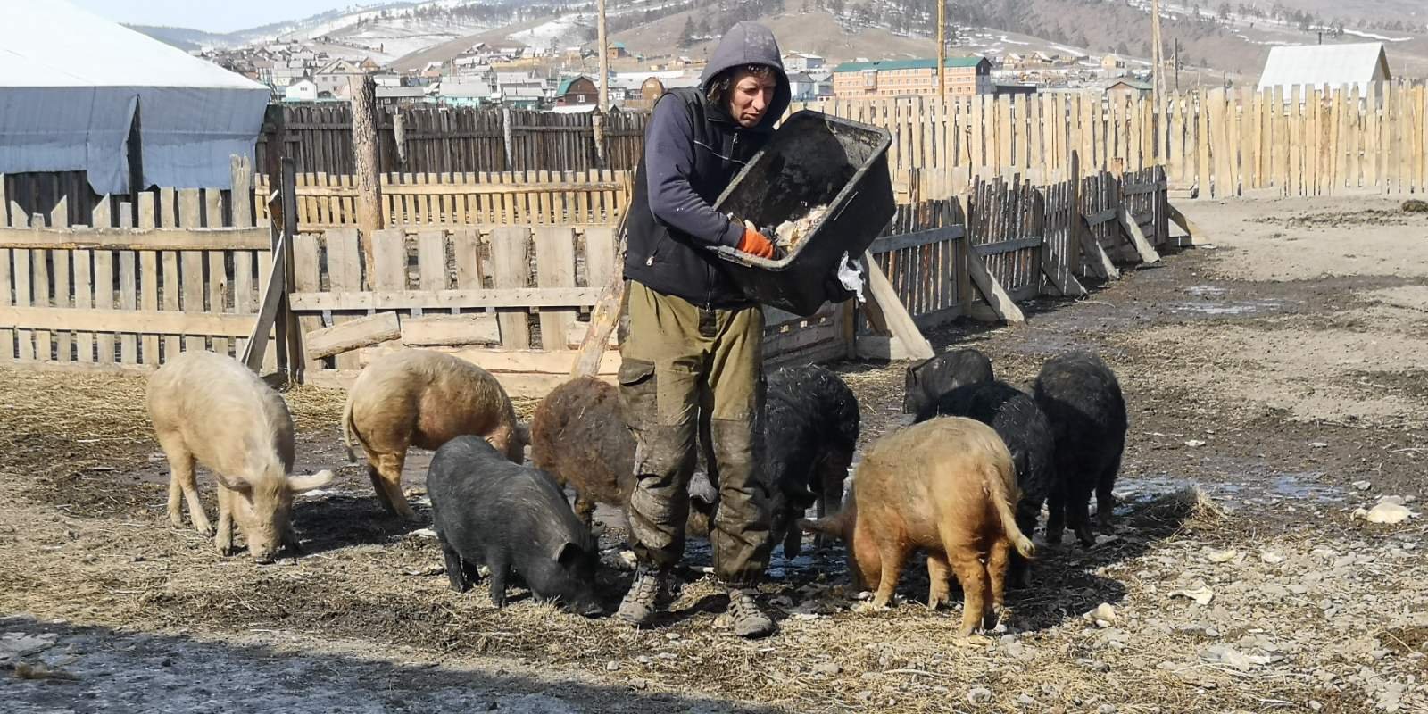 Швейцарец Лукас Акерманн открыл турбизнес в Бурятии и проводит на КАМАЗе  авторские туры по всей республике. Уроженец Швейцарии 53-летний Лукас  Акерманн объездил полмира. Он искал место, где будет счастлив и где может