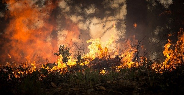 The threat of forest fires looms over the Khabarovsk Territory