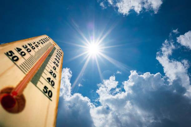 Гидрометцентр предупредил об аномальной жаре в ряде регионов ДФО