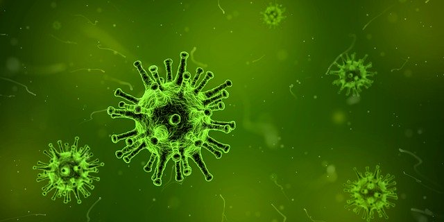 Chinese epidemiologists named the source of coronavirus