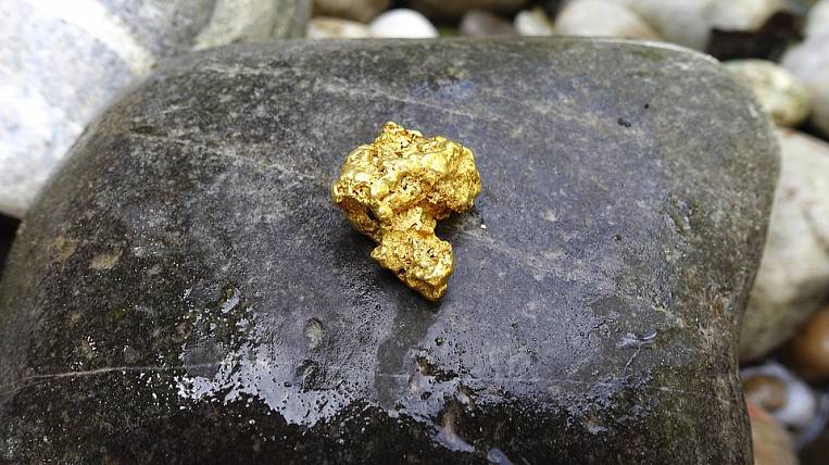 Khabarovsk Territory breaks historical record for gold mining