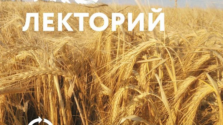 Ecoculture lectures will be held by Baltika and Sobirator