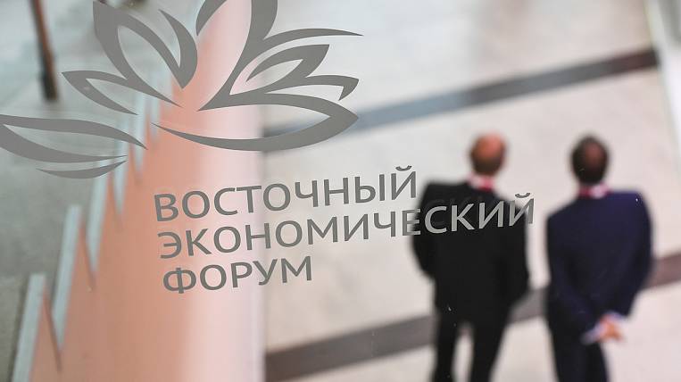 Создание новой экономической модели развития России обсудят на ВЭФ
