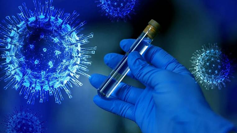 Scientists: found an intermediate link in the transmission of coronavirus to humans
