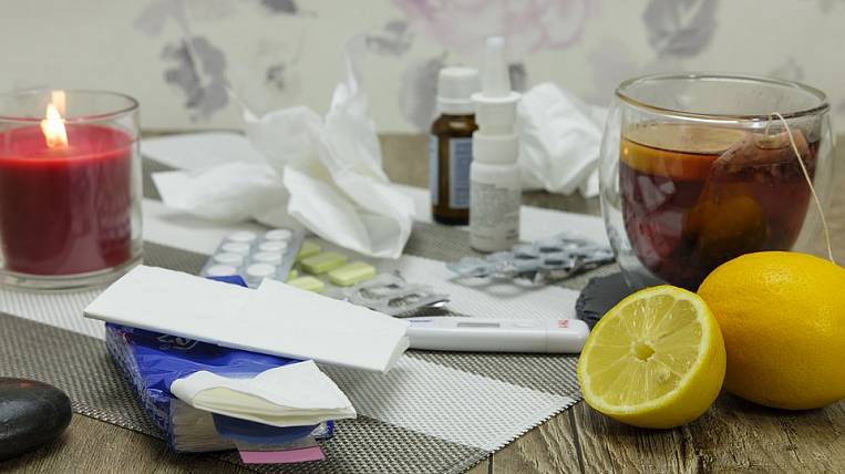 Swine flu started to get sick in Khabarovsk Territory