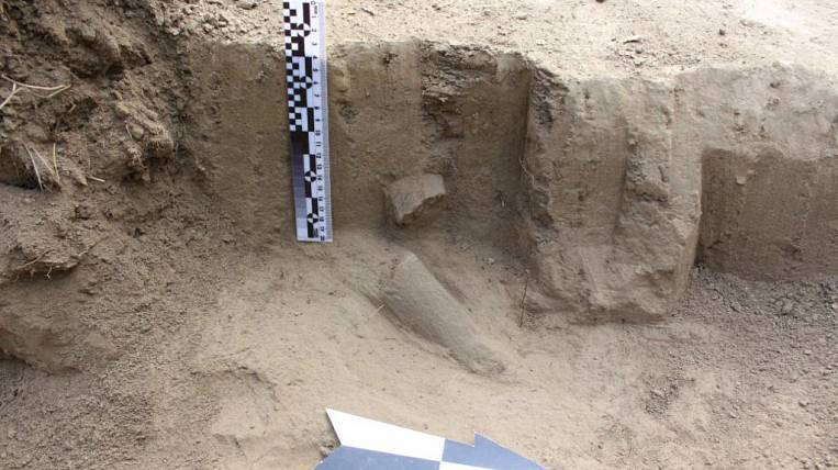 Останки мамонта со следами орудий нашли в Якутии