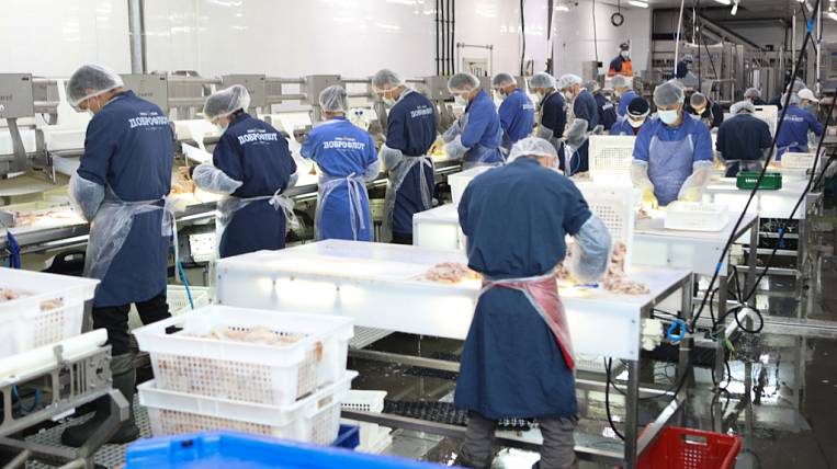 Крупный холодильный склад рыбопродукции откроют в Приморье