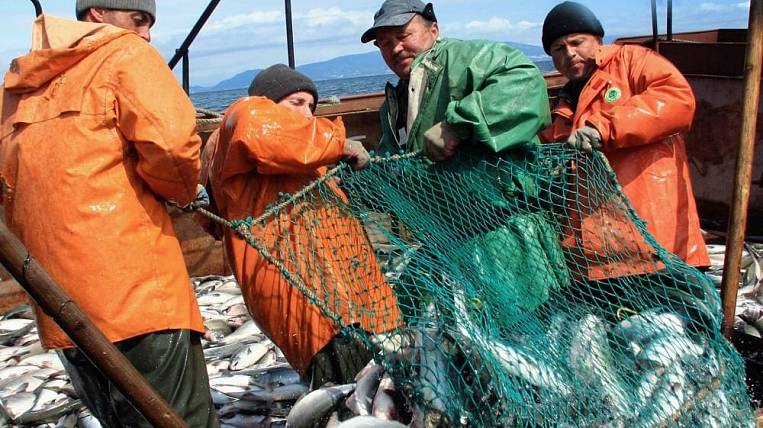 Темпы вылова лосося выросли вдвое на Дальнем Востоке