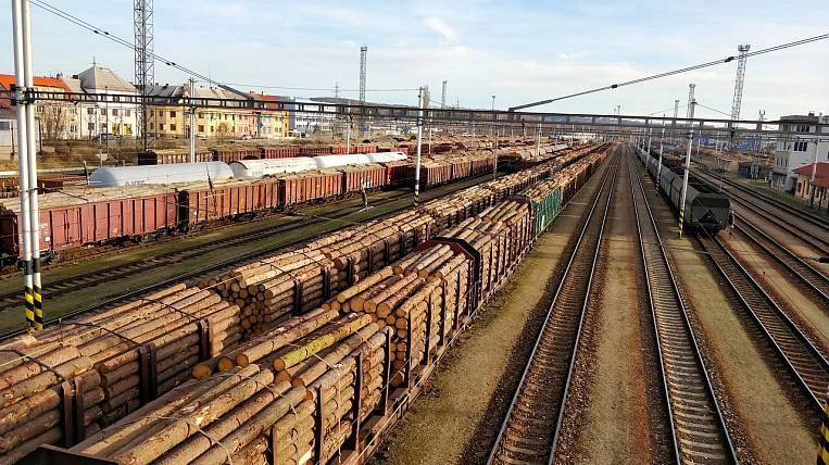 More than 80 million rubles were underpaid when exporting timber in Khabarovsk