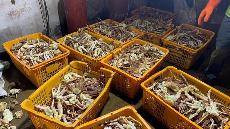 Около 500 кг краба обнаружили в лодочном гараже в Приморье