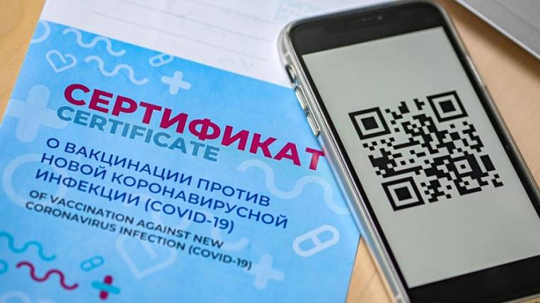 The State Duma suggested issuing QR codes to two more categories of Russians