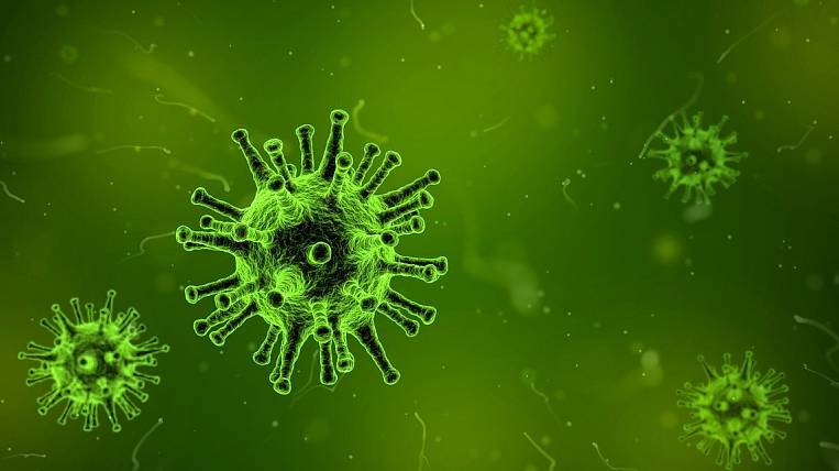 Dangerous Hong Kong flu virus detected in Amur region