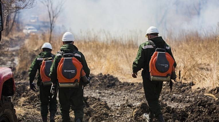 Fire hazard season began in Primorye